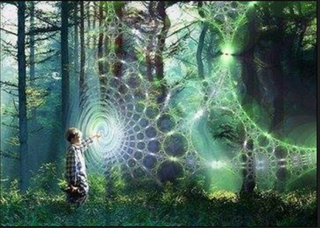 Boy and Spiders web